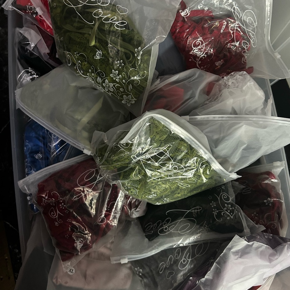 Assorted lingerie. Decided not to open store & need to sell inventory. XS-XXXL